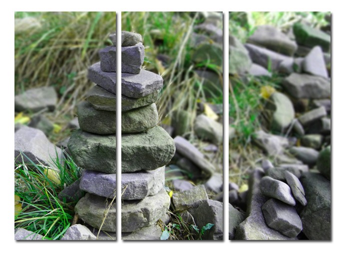Moderní obrazy - Kameny v trávě