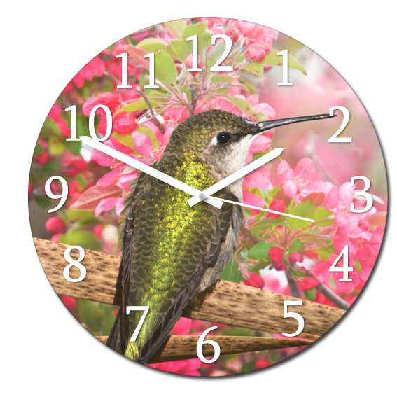 Nástěnné hodiny - Kolibřík